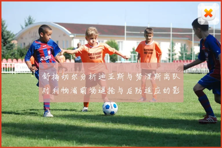 舒梅切尔分析迪亚斯与努涅斯离队对利物浦前场逼抢与后防适应的影响